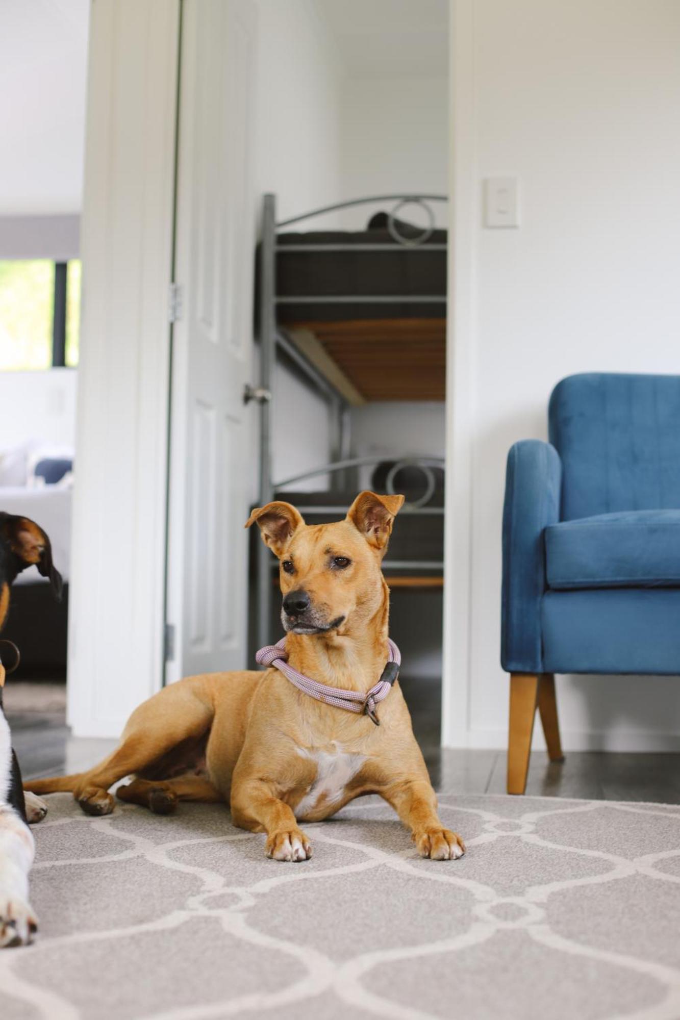 Bowentown Beach Holiday Park Waihi Eksteriør bilde